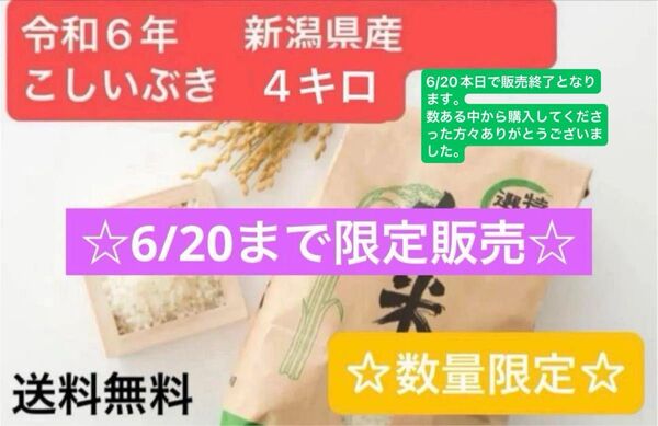 令和6年産 こしいぶき 米 4kg 新潟県 玄米 農家直送 《数量限定》☆ 小分け