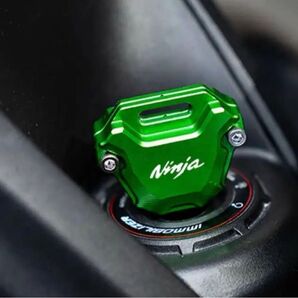 新品 Kawasaki カワサキ Ninja キーカバー プロテクター グリーン 即納 在庫一点限り 再入荷未定 アルミ
