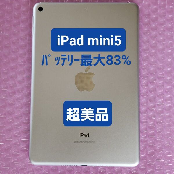 超美品 iPad mini 第5世代 バッテリー最大容量83% 64GB