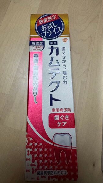 カムテクト 歯ぐきケア 歯周病(歯肉炎・歯槽膿漏)予防 歯磨き粉 【医薬部外品】2本セット