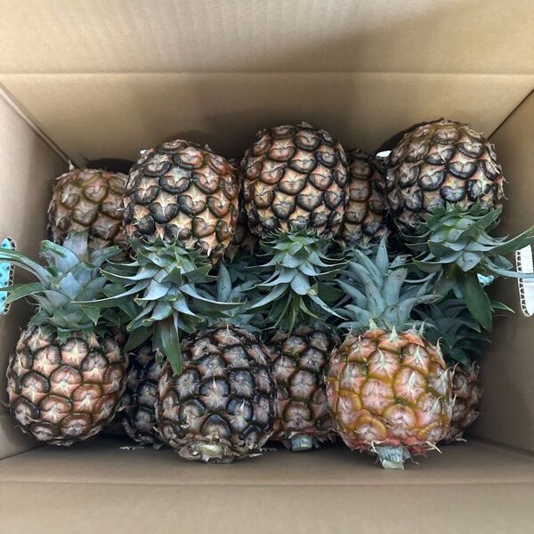 石垣島産 中玉ピーチ
