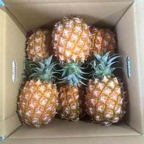 石垣島産 中玉ピーチパイン