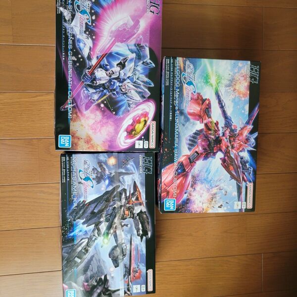 HGゲルググメナース(ルナマリア専用機)&ギャンシュトローム&ムラサメ改