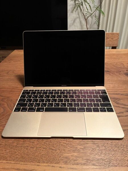 Apple MacBook Retina 12-inch Early2015