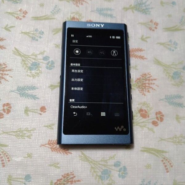 SONY WALKMAN NW-A55 L