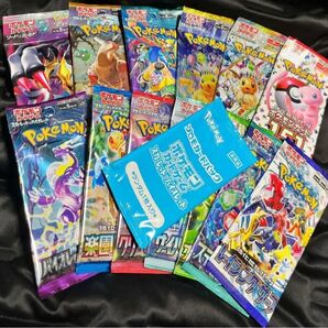 ポケモンカード バラエティーパックセット プロモ付き