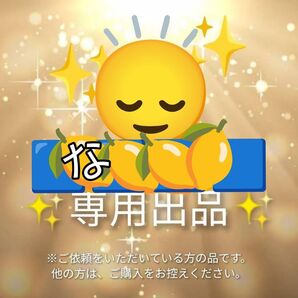 ご依頼品☆他の方はご購入をお控えくださいクーポン◎★ご専用(新品未使用)禿頭 坊主頭 スキンヘッド+ウィッグネット 禿げ かつら