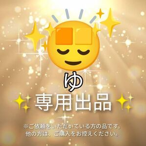ご依頼品☆他の方はご購入をお控えくださいクーポン◎★ご専用(新品未使用)禿頭 坊主頭 スキンヘッド+ウィッグネット 禿げ かつら