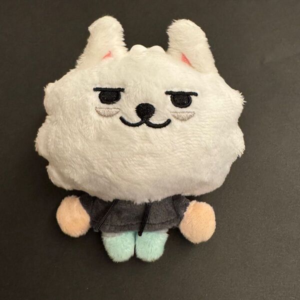 TXT プルバトゥ ヨンモン チェ・ヨンモン キーリング スビン