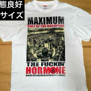 マキシマム ザ ホルモン Tシャツ XLサイズ 状態良好