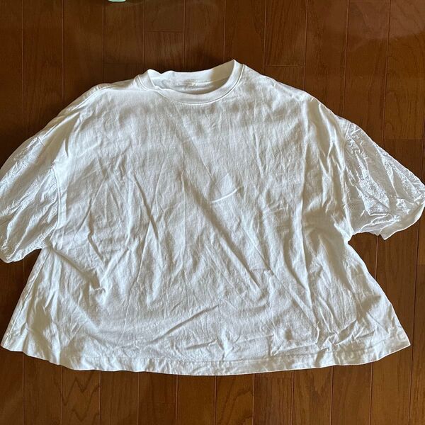 エコロコTシャツ