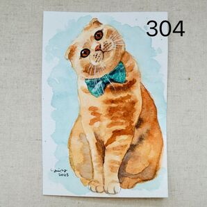 猫の絵 304 水彩画 原画 スコティッシュフォールド ポストカードサイズ