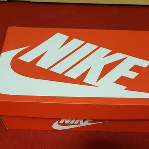 NIKE ウィメンズ エアマックスDN 26.5cm