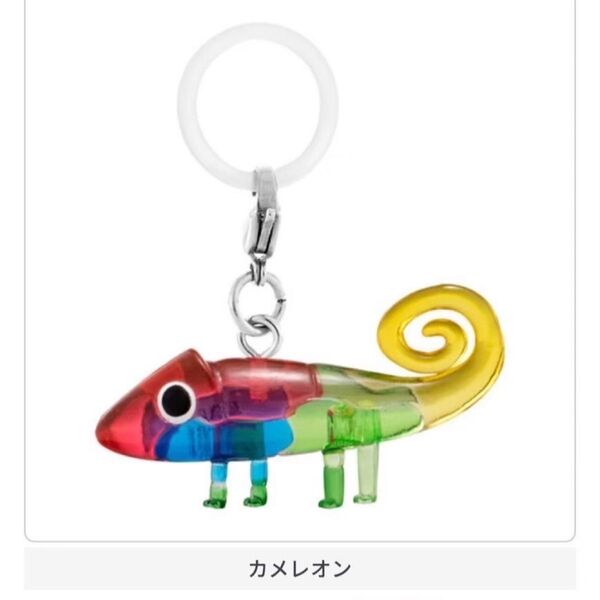 カメレオン レオ・レオニズ フレンズ めじるしアクセサリー