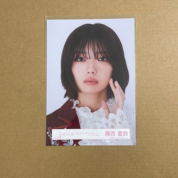 櫻坂46 藤吉夏鈴 生写真 東京ドーム オープニング 王子様衣装 福袋 ヨリ