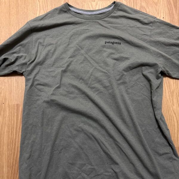 Patagonia ロゴTシャツ グリーン系