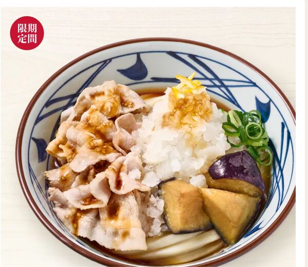 丸亀製麺 鬼おろしシリーズ専用500円引きクーポンコード デジタルお食事券 お食事券 うどん