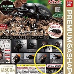 いきもの大図鑑アドバンス ヘラクレスオオカブト ヘラクレス・オキシデンタリス(ゴールドヘッドver.)