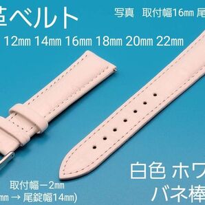 ★☆新品☆★【未使用】本革ベルト 白色 ホワイト 銀色 シルバー尾錠 取付幅 12㎜ 14㎜ 16㎜ 18㎜ 20㎜ 22㎜