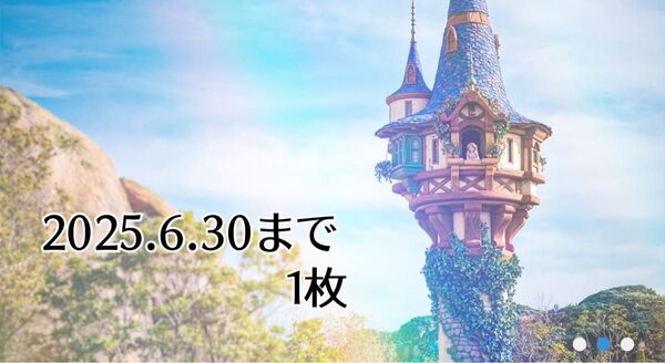 東京ディズニーリゾート パスポート 1枚 有効期限2025年6月末
