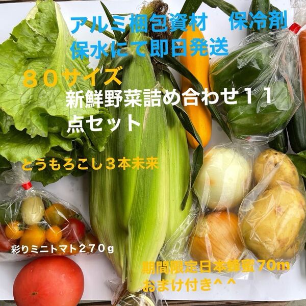 新鮮野菜詰め合わせ11点セット 期間限定日本蜂蜜70mおまけ付き^ ^ 80サイズ