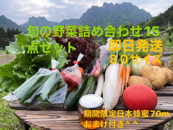 旬の野菜詰め合わせ15点セット!!期間限定日本蜂蜜70mおまけ付き^ ^ 80サイズ