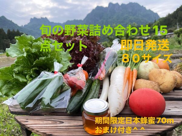 旬の野菜詰め合わせ15点セット!!期間限定日本蜂蜜70mおまけ付き^ ^ 80サイズ