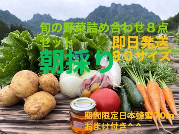 旬の野菜詰め合わせ8点セット 期間限定日本蜂蜜70mおまけ付き^ ^ 80サイズ