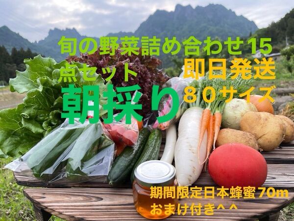 旬の野菜詰め合わせ15点セット!!期間限定日本蜂蜜70mおまけ付き^ ^ 80サイズ