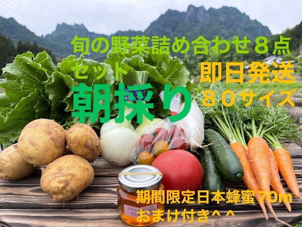 旬の野菜詰め合わせ8点セット!! 期間限定日本蜂蜜70mおまけ付き^ ^ 80サイズ