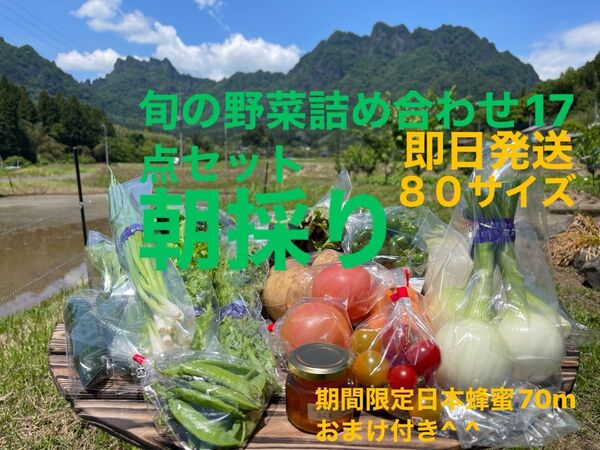 旬の野菜詰め合わせ17点セット 期間限定日本蜂蜜70mおまけ付き^ ^ 80サイズ