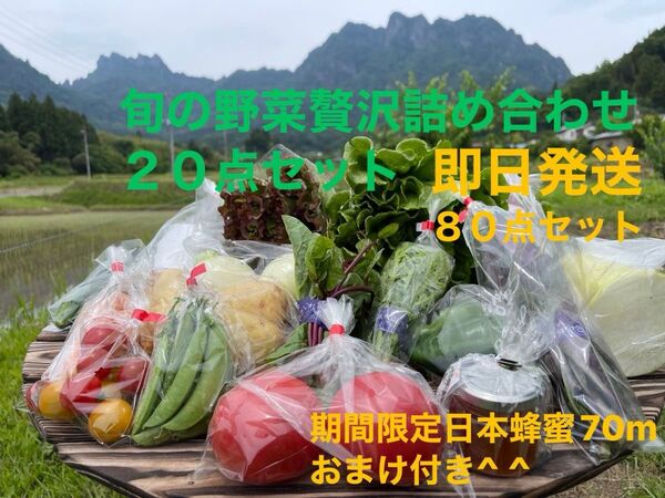 旬の野菜贅沢詰め合わせ20点セット 期間限定日本蜂蜜70mおまけ付き^ ^ 80S