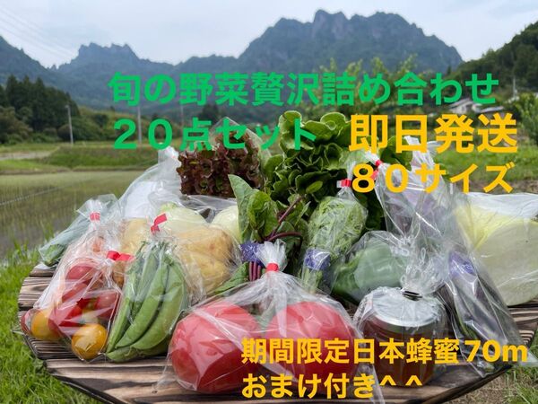 旬の野菜贅沢詰め合わせ20点セット 期間限定日本蜂蜜70mおまけ付き^ ^ 80サイズ
