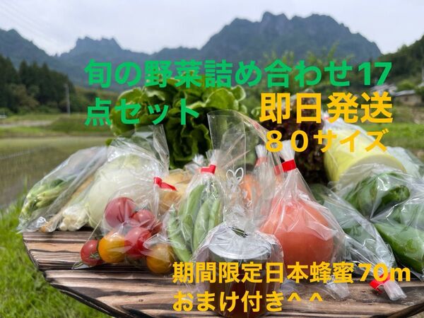 旬の野菜詰め合わせ17点セット 期間限定日本蜂蜜70mおまけ付き^ ^ 80サイズ