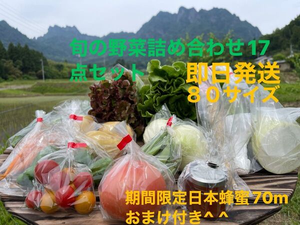 旬の野菜詰め合わせ17点セット 期間限定日本蜂蜜70mおまけ付き^ ^ 80サイズ