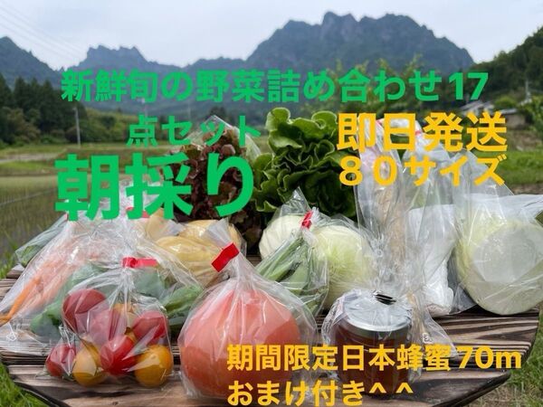 旬の野菜詰め合わせ17点セット 期間限定日本蜂蜜70mおまけ付き^ ^ 80サイズ