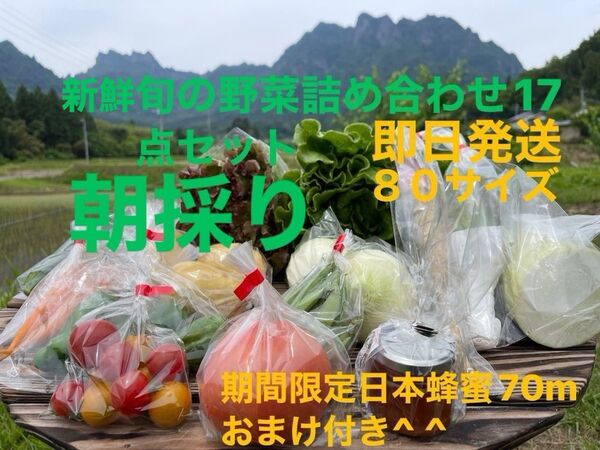 旬の野菜詰め合わせ17点セット 期間限定日本蜂蜜70mおまけ付き^ ^ 80サイズふ