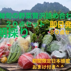 旬の野菜贅沢詰め合わせ20点セット 期間限定日本蜂蜜70mおまけ付き^ ^ 80S