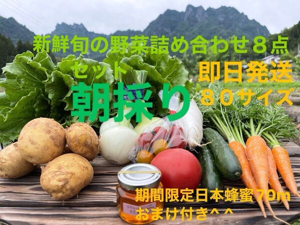 旬の野菜詰め合わせ8点セット!! 期間限定日本蜂蜜70mおまけ付き^ ^ 80サイズ