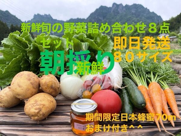旬の野菜詰め合わせ8点セット 期間限定日本蜂蜜70mおまけ付き^ ^ 80サイズ