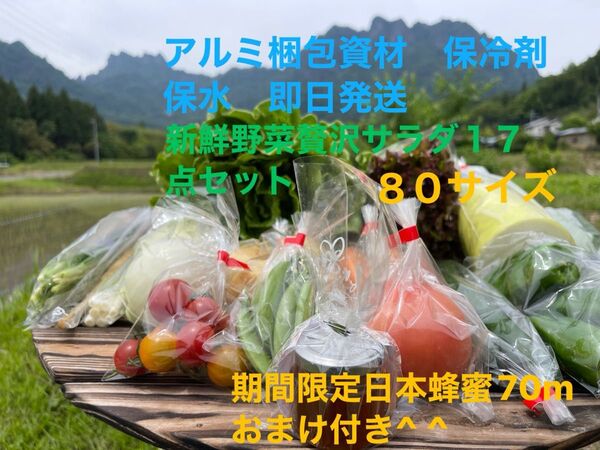 新鮮野菜贅沢サラダ17点セット 期間限定日本蜂蜜70mおまけ付き^ ^ 80サイズ