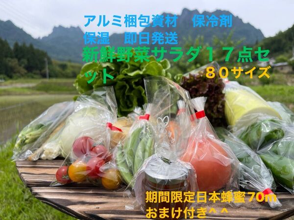 新鮮野菜サラダ17点セット 期間限定日本蜂蜜70mおまけ付き^ ^ 80サイズ