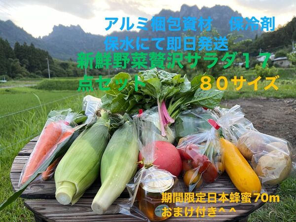 新鮮野菜贅沢サラダ17点セット 期間限定日本蜂蜜70mおまけ付き^ ^ 80サイズ