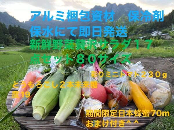 新鮮野菜贅沢サラダ17点セット 期間限定日本蜂蜜70mおまけ付き^ ^ 80サイズ