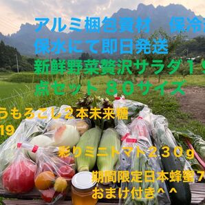 新鮮野菜贅沢サラダ19点セット 期間限定日本蜂蜜70mおまけ付き^ ^ 80サイズ