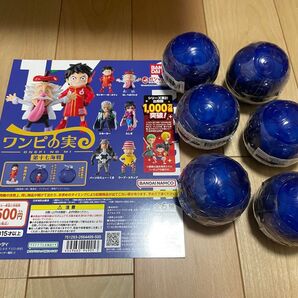 ワンピの実 第十七海戦 全6種 全種 フルコンプ 新品未開封 内袋未開封