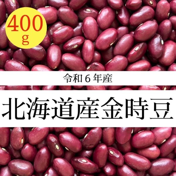 【新豆/400g】令和6年産 北海道産 大正金時豆 金時豆 乾燥豆