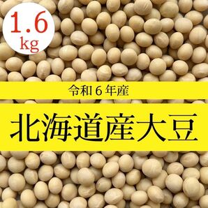 【新豆/1.6kg】令和6年産 北海道産 大豆 乾燥豆