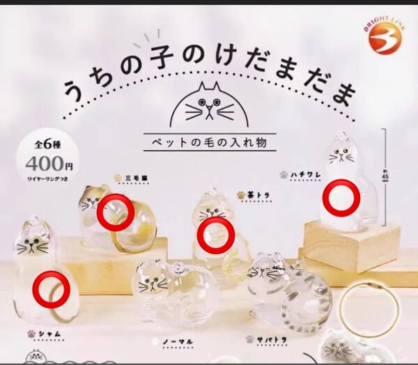 うちの子のけだまだま 4種セット シャム 三毛猫 ハチワレ 茶トラ カプセルトイ
