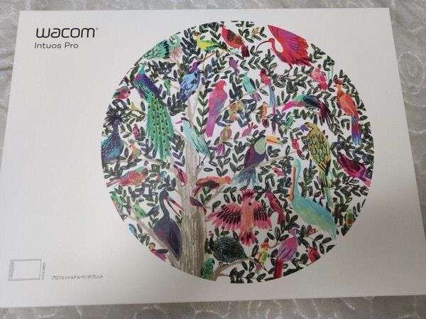 Wacom Intuos Pro Medium PTH-660 ワケアリ